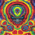 buy grateful dead lad online