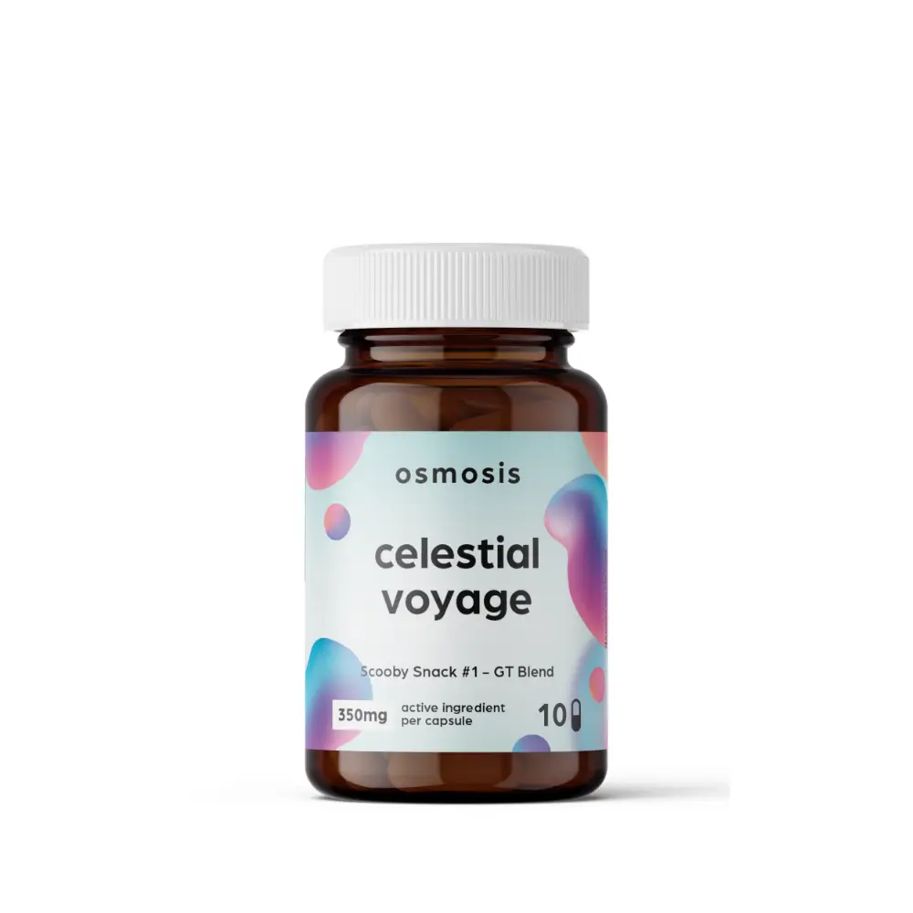 Celestial-Voyage